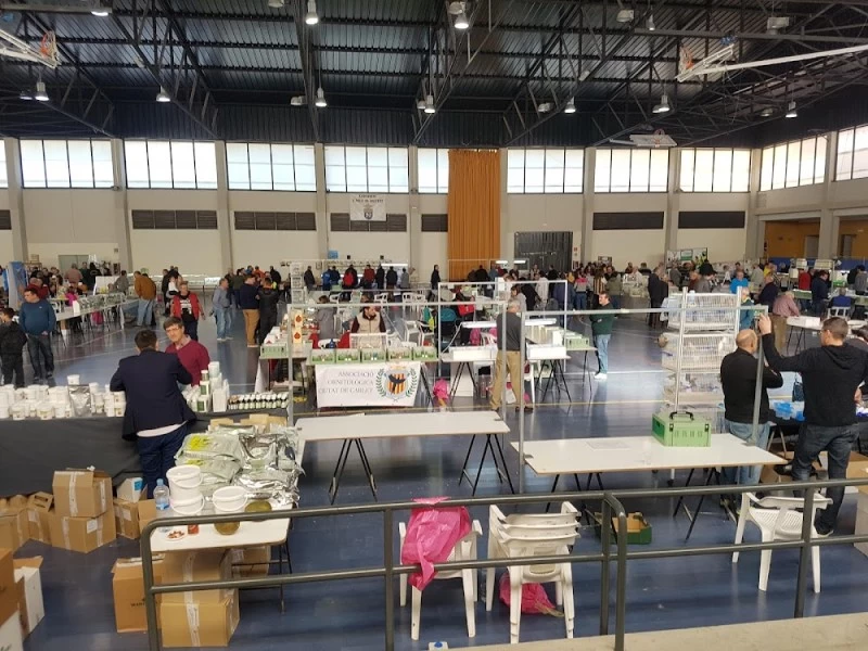 Polideportivo