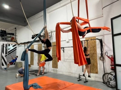 AREA CALISTHENICS