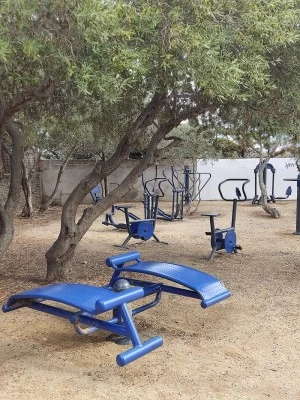 Área de actividad física