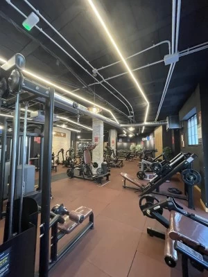 Areafit Lite