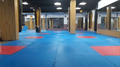 Gimnasio Picos