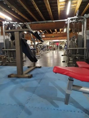 Gimnasio winner