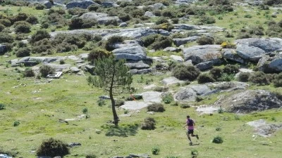 Arousa NeO