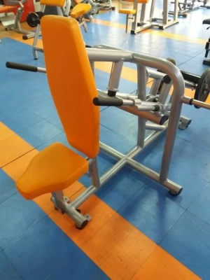 Gym V centenario