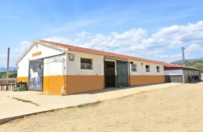 Hípica Guadalix Escuela Equitación