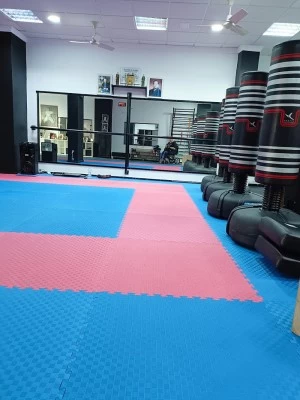 Hombu-Dojo