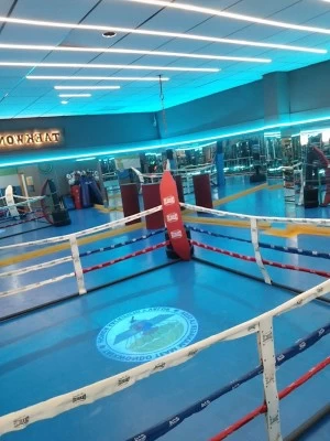 Asociación Deportiva la Seda