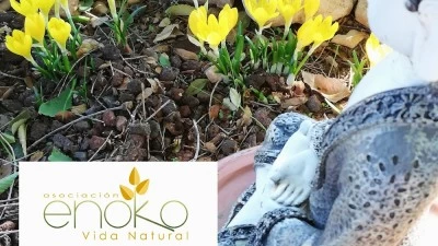 asociación enoko C.R.