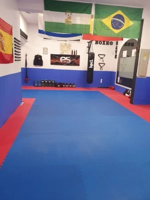 Krav Maga, Taekwondo. Dojo Hajime