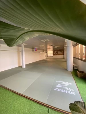 C.D. JUDO BARANSU