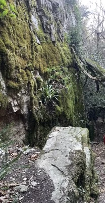 Avencots de la Febró