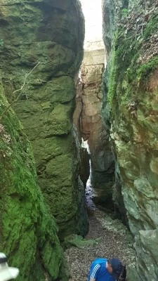 Avencots del Motllat de la Pona