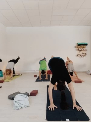 Nirvedam Sala de Yoga