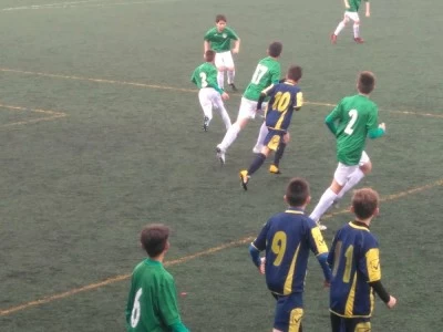 Pabellon