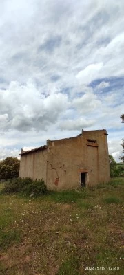 Palomar