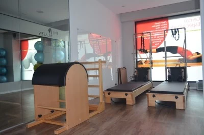 PALPILATES