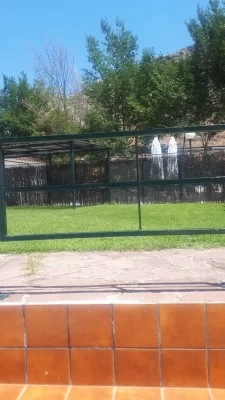 Piscina Pública Municipal de Tierga