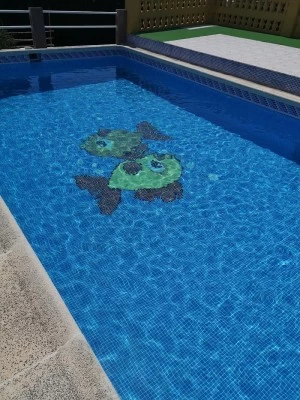 Piscina Pública Municipal de Villaverde y Pasaconsol