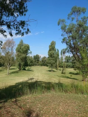 Pitch & Putt Fornells