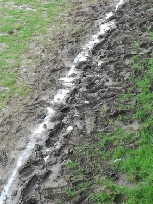 Beko Zelai