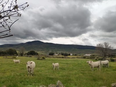 Ruta S. Lorenzo de Tormes - Collado