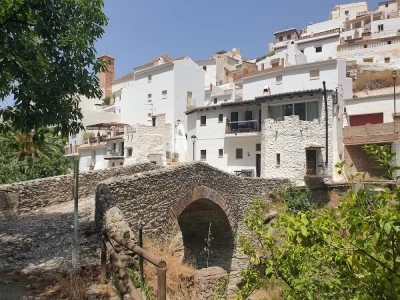 Salares