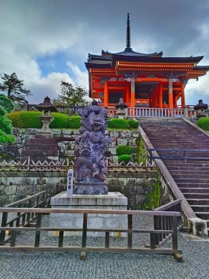 Seiryu Dojo