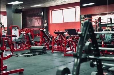 The Black Panther Gym