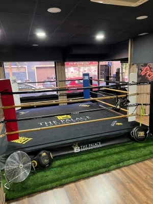 The Palace Boxing club