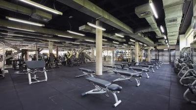 Body Factory