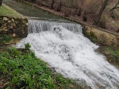 VFT Sendero Cerezuelo (Cazorla)
