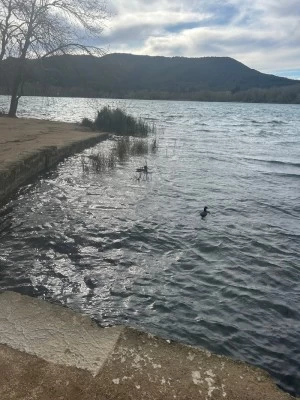 Via Brava Estany de Banyoles