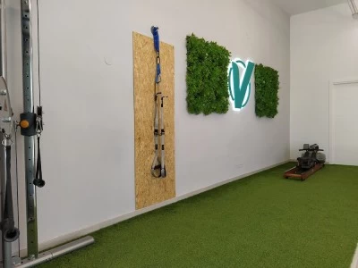 Vital Vizega