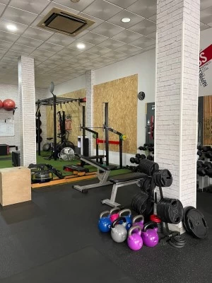 WELLNESS STUDIO FITNESS & BEAUTY