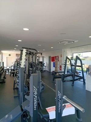 Wild Movement Training School