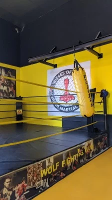 Wolf Fighting club