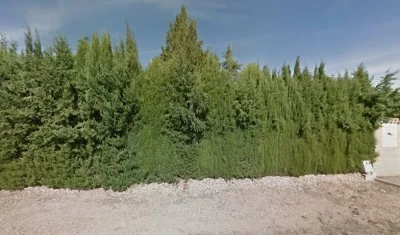 Yeguada Al-manchara