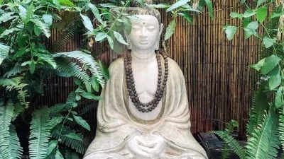 Yoga Zenter