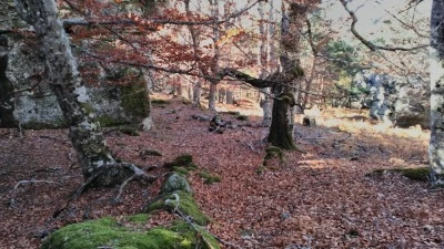 Boulder Covaleda