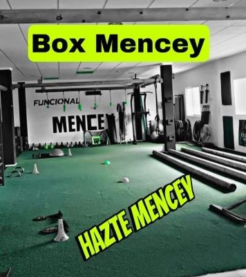 Box Mencey