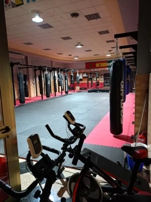 Boxeo Suarez