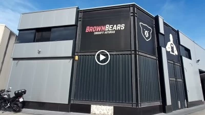 Brown Bears
