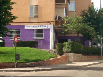 Bujutsu Terapias Manuales