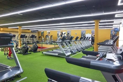 Bull Fitness