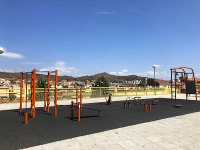 Calistenia Gym