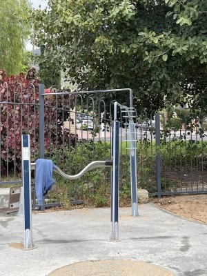 Calisthenics