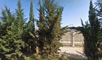 Camp de futbol Torregrossa