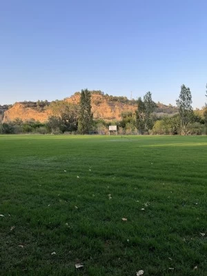 Camp de futbol U.D.Aldover