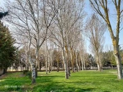 Cancha de tenis de Monzón de Campos