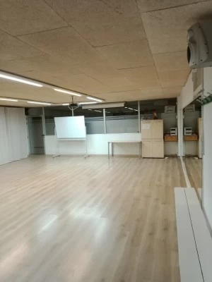 Capoeira Mandara
